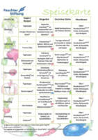 Beispielhafte Speisekarte